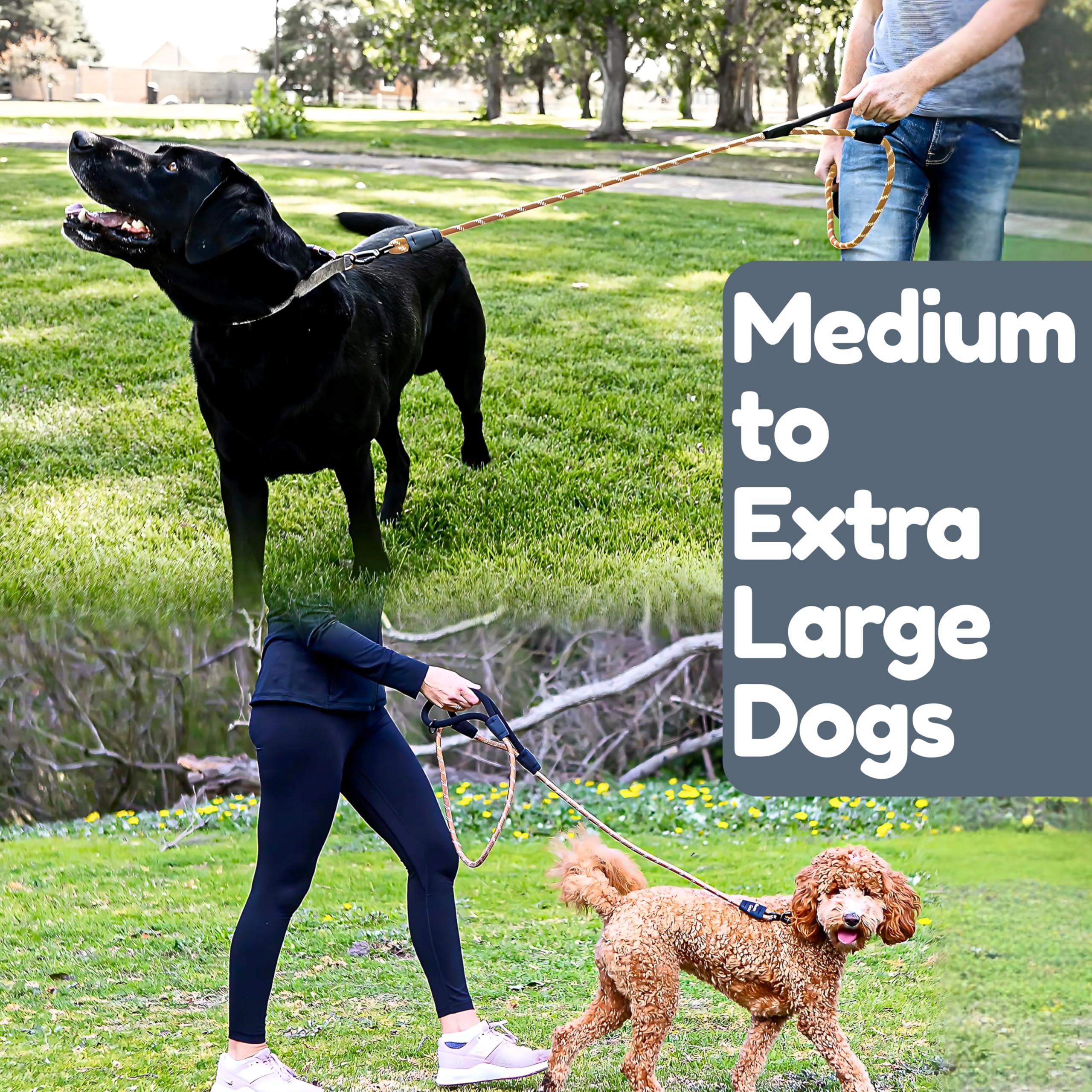 Laise Roam Gear tout-terrain adaptée à toute taille de chien.