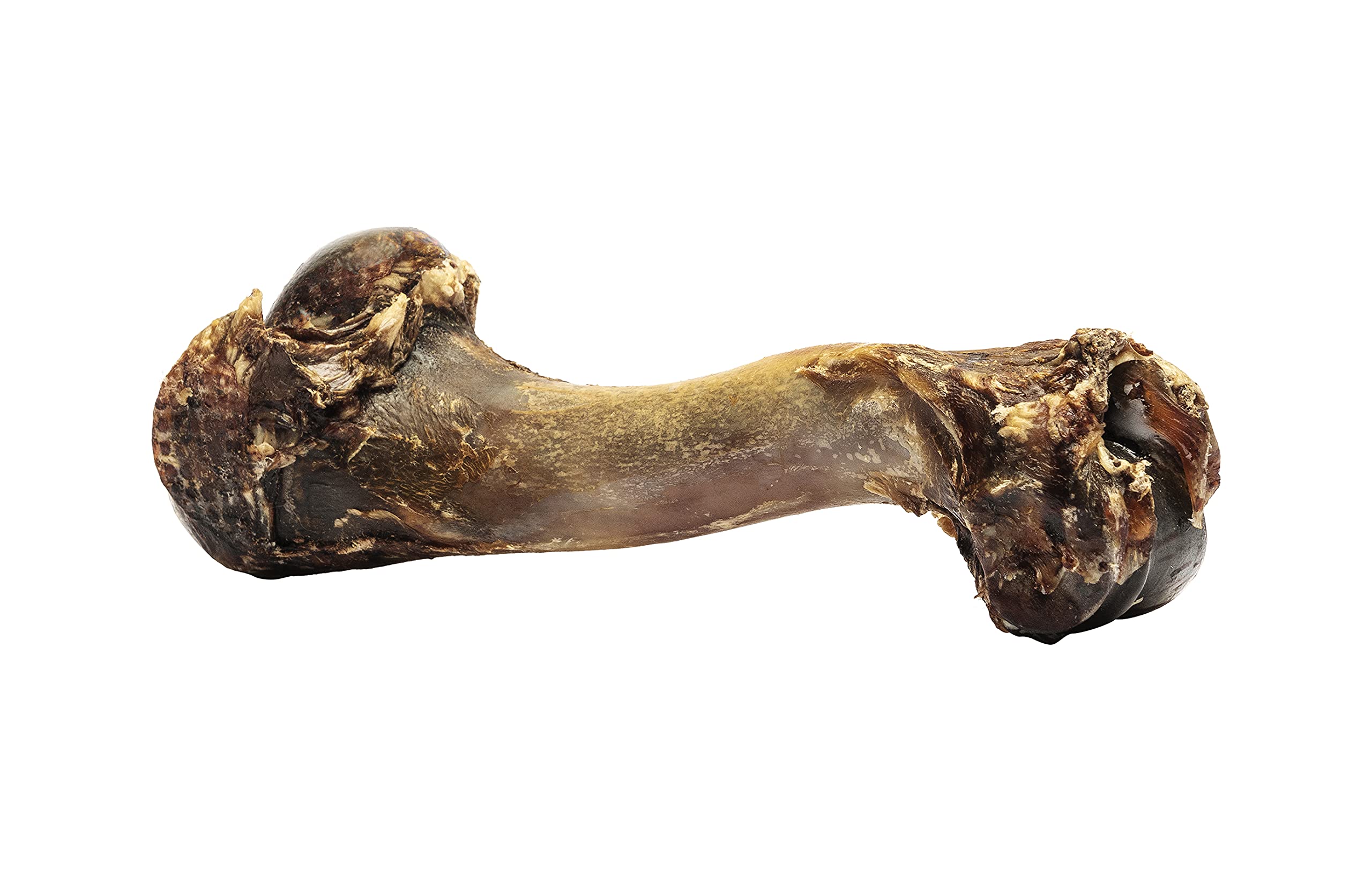 ROAM os de venaison pour chien dentition-durable, soutien potentiel pour les gencives.