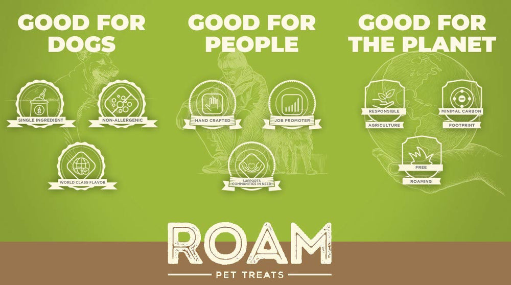 ROAM os de venaison pour chien sans-gluten, alternative naturelle.