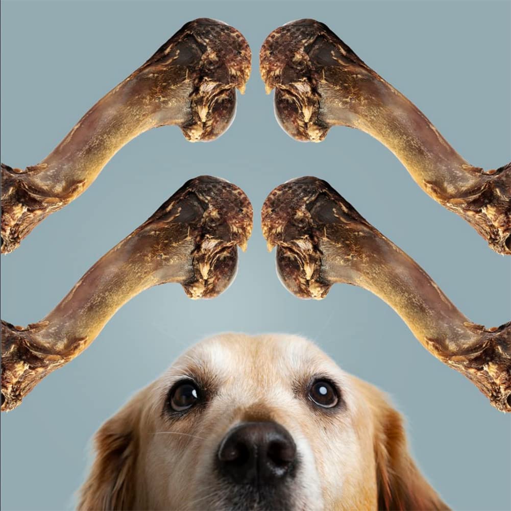 ROAM os de venaison pour chien source-ethique, origine responsable.