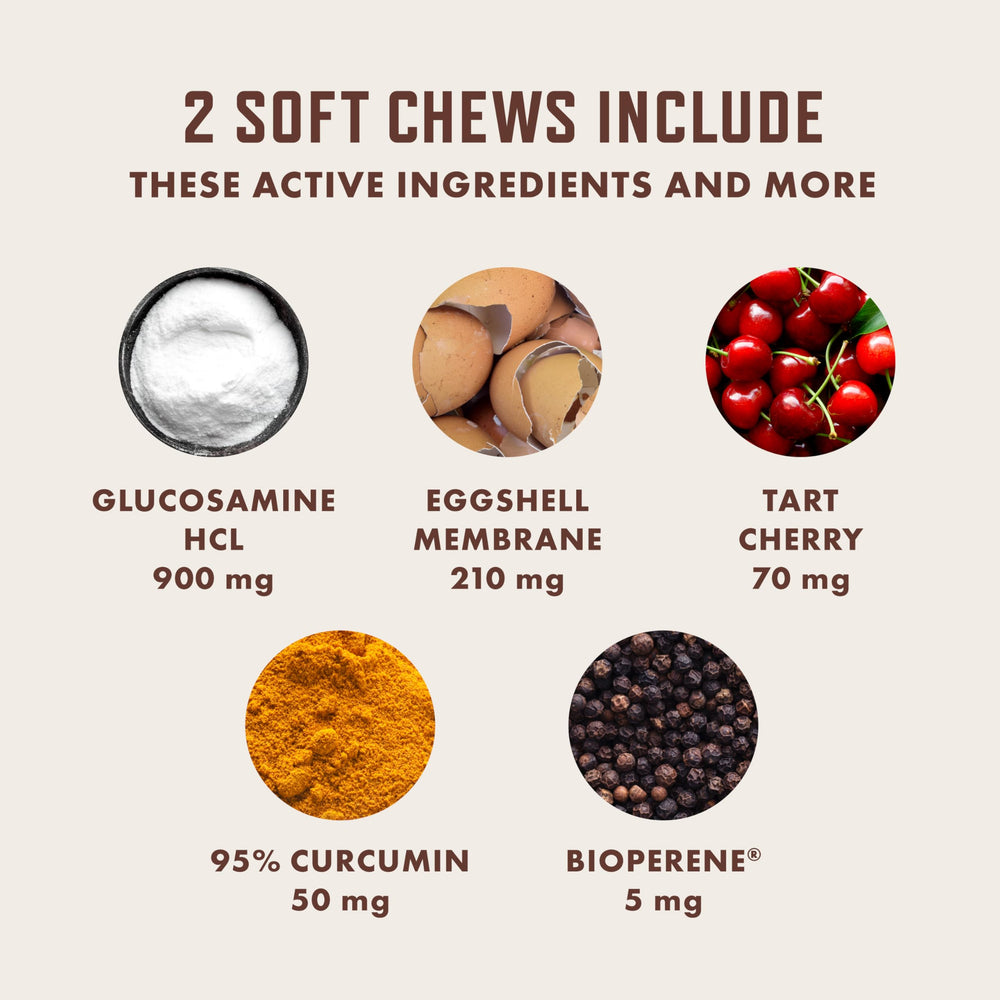 Rocco et Roxie : glucosamine et chondroïtine au service des articulations du chien