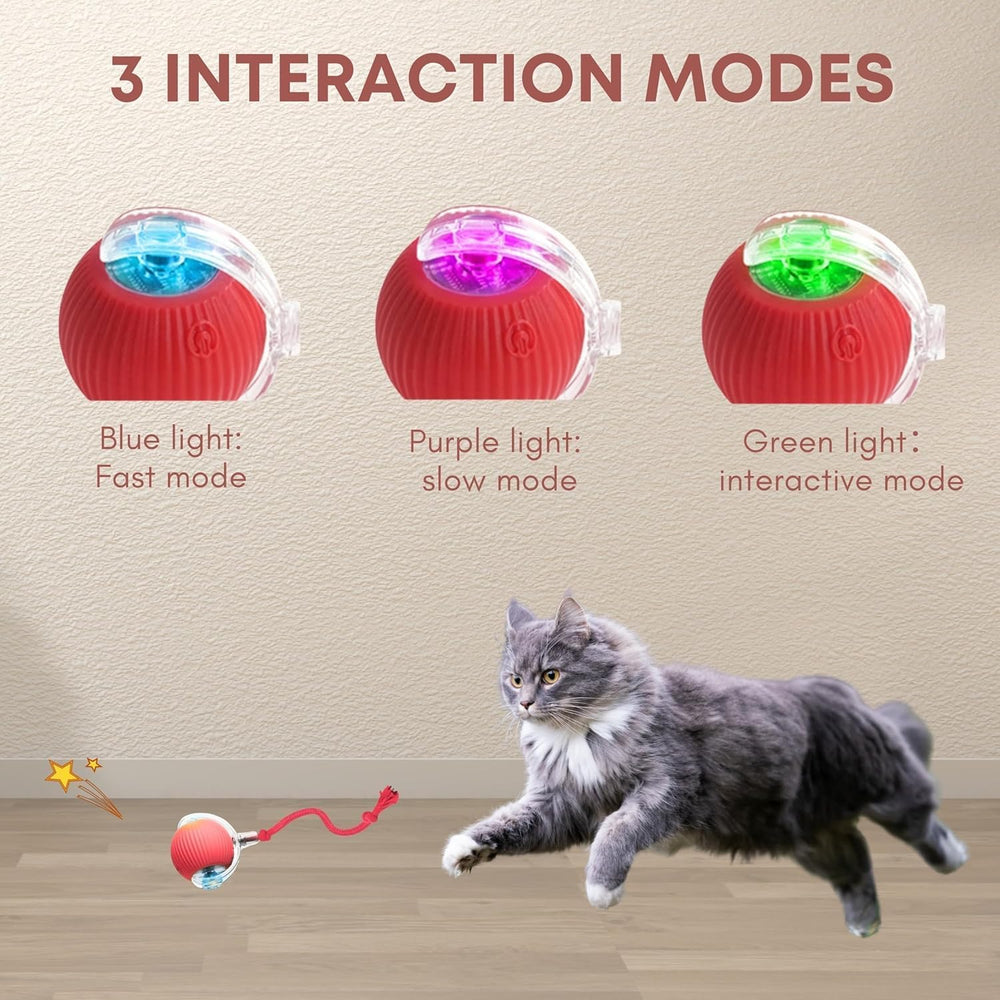 Rocfish balle chat anti obstacle se déplaçant dans les recoins en sécurité