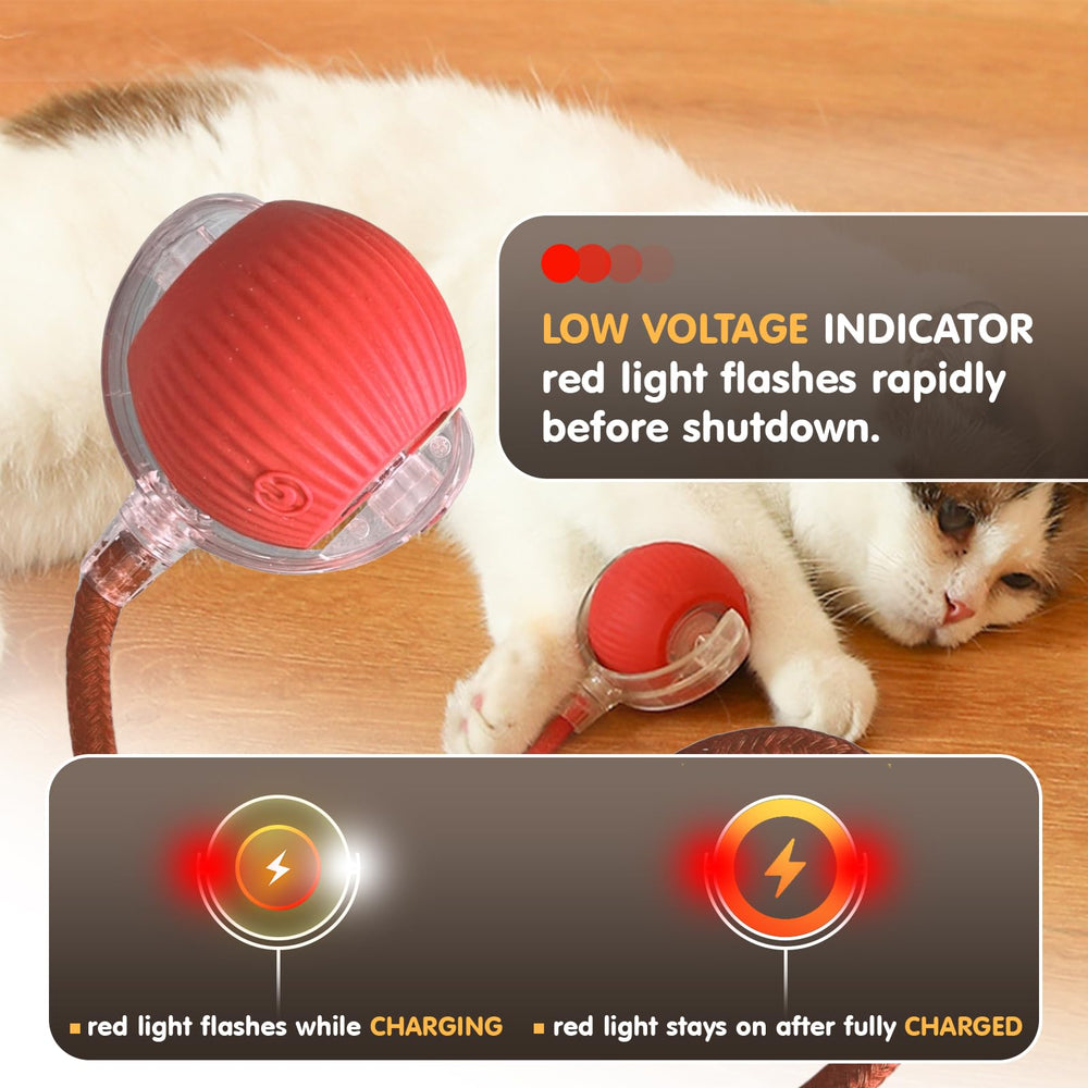 Rocfish balle chat mode triple adaptant le jeu à l humeur du chat