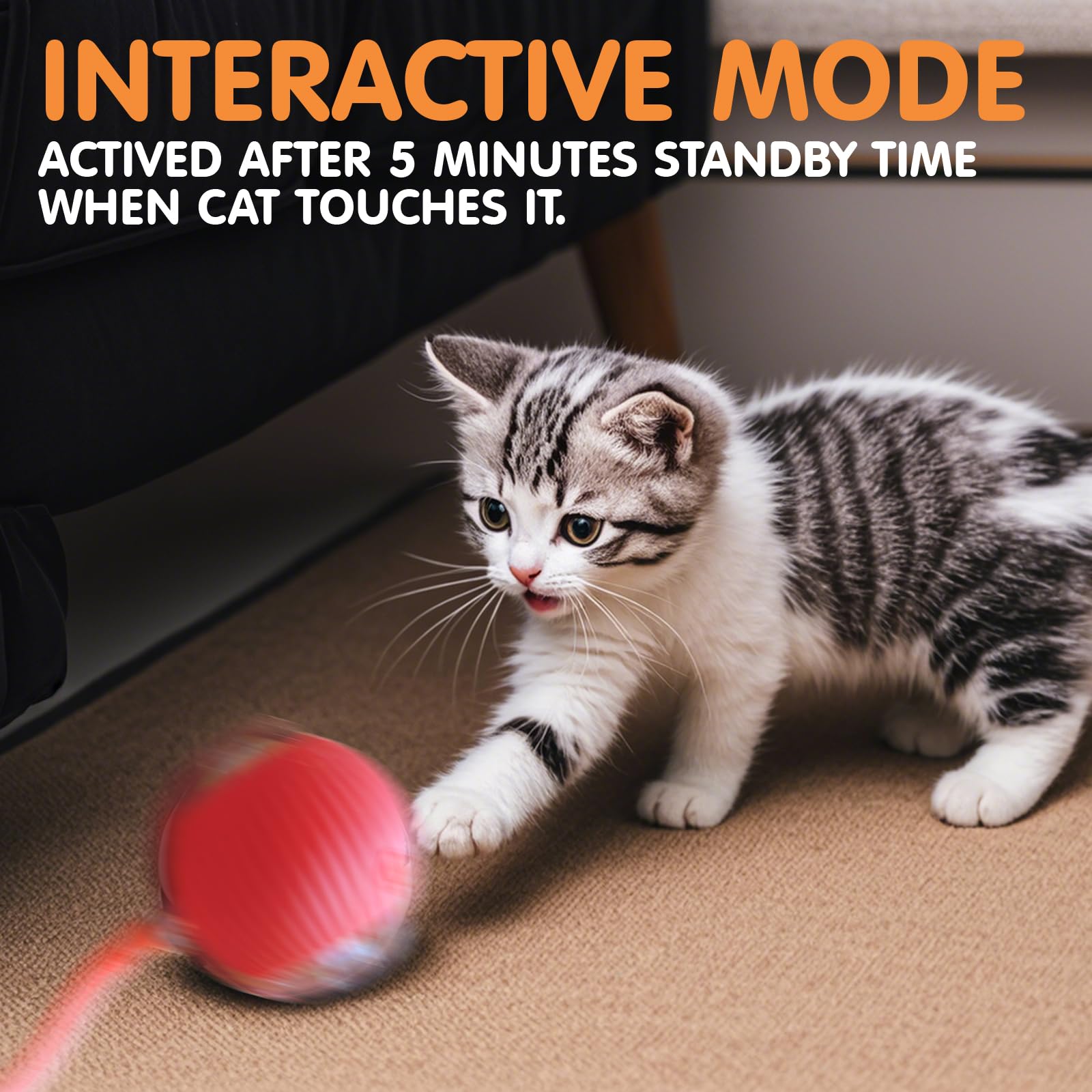 Rocfish balle chat nettoyage facile après le jeu