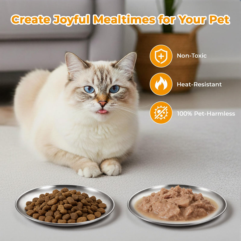 Bol Rocfish idéal pour les repas quotidiens des chats et petits chiens.