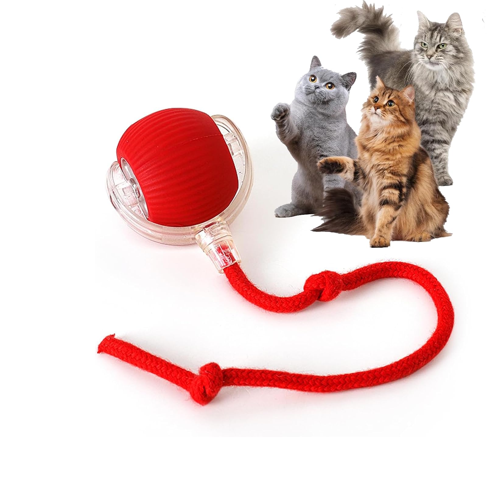 Rocfish jouet interactif pour chat intérieur en action stimulant son désir de jeu