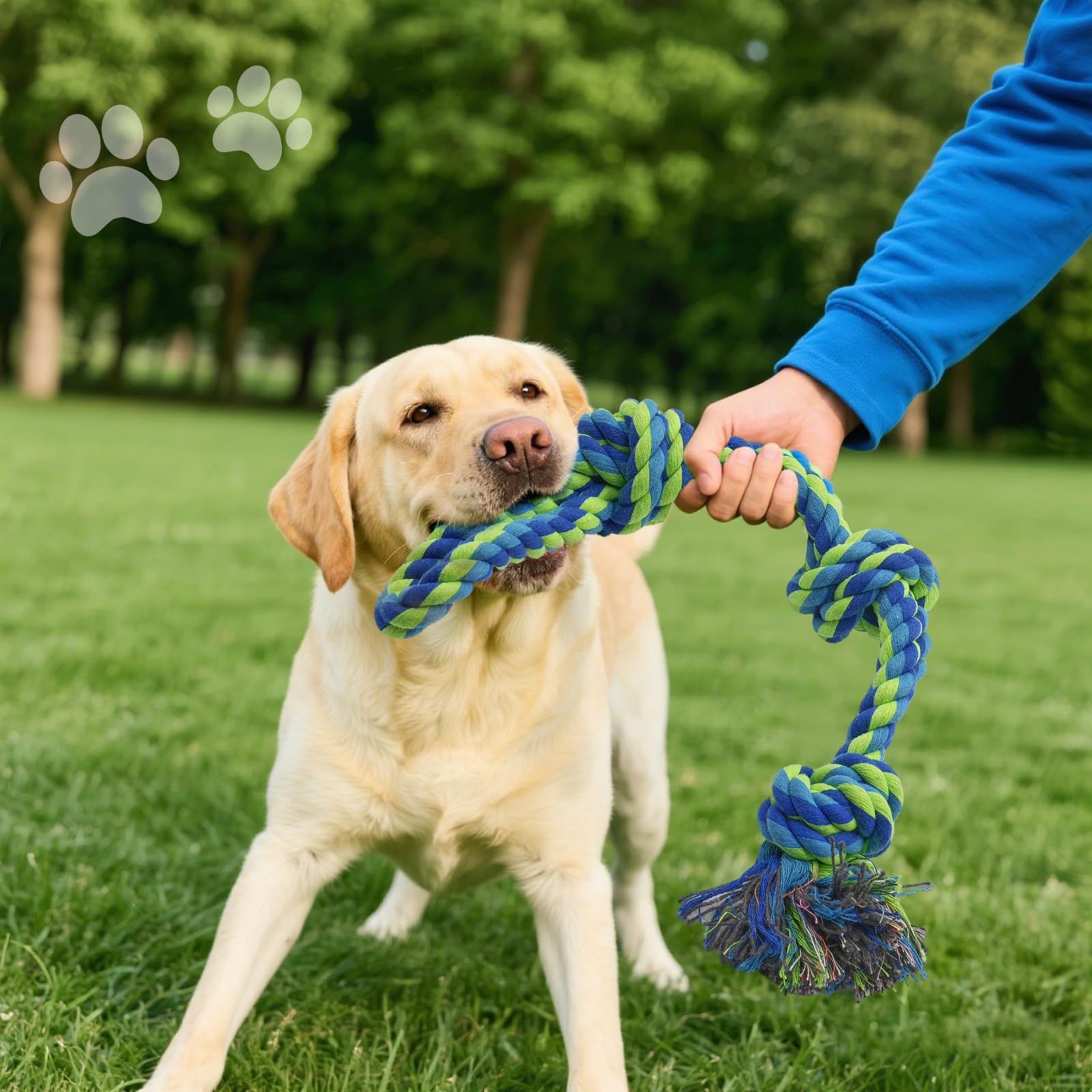 Jouet Rocfish couleur vive, idéal comme cadeau pour chien.