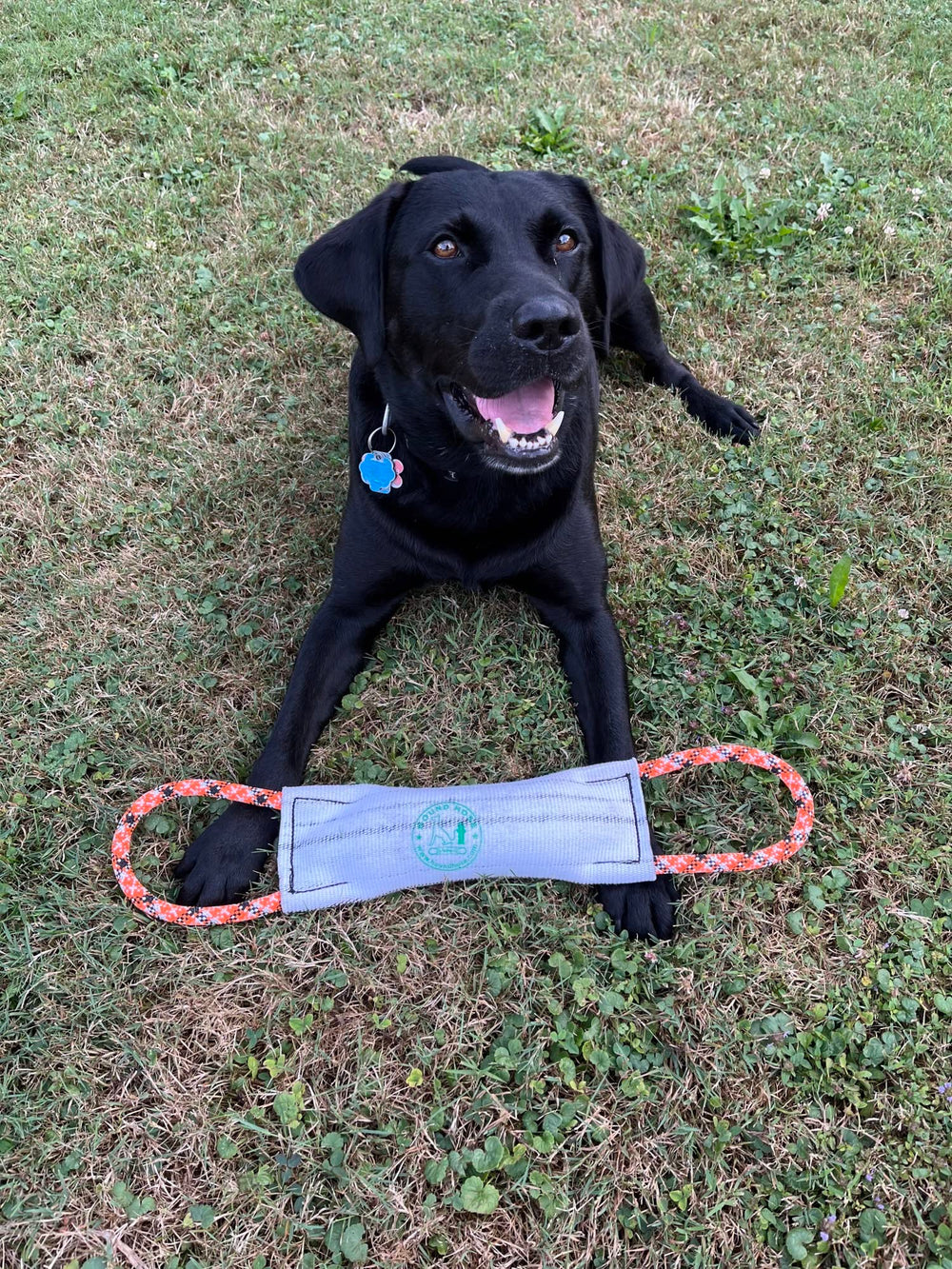 Rock-N-Rescue Hound Hose, conception à double gaine pour structure et flexibilité