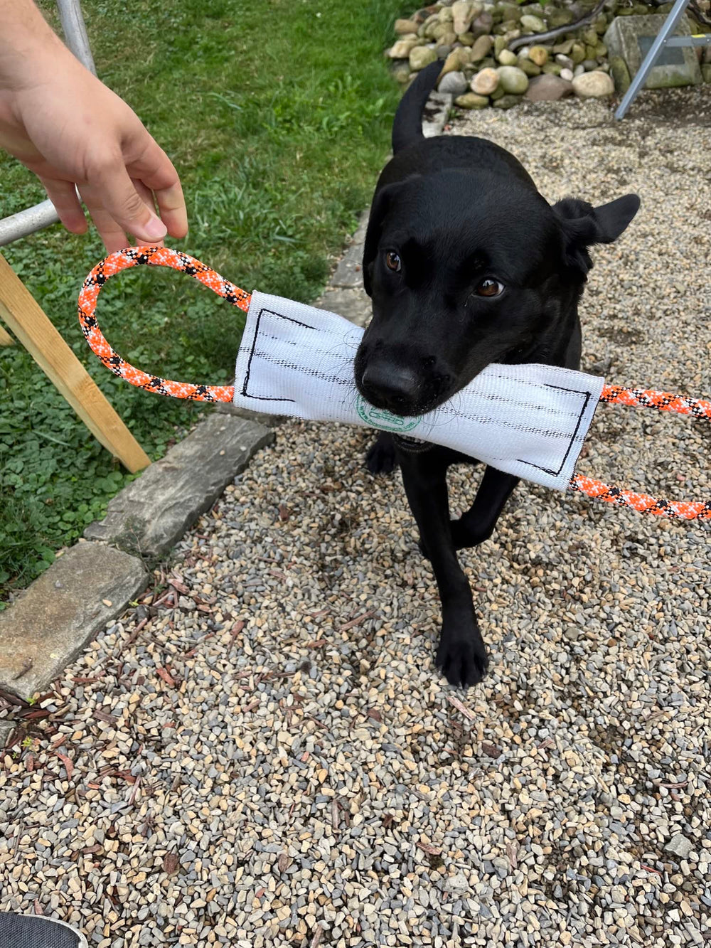 Rock-N-Rescue Hound Hose résistance 7500 livres pour jeux musclés