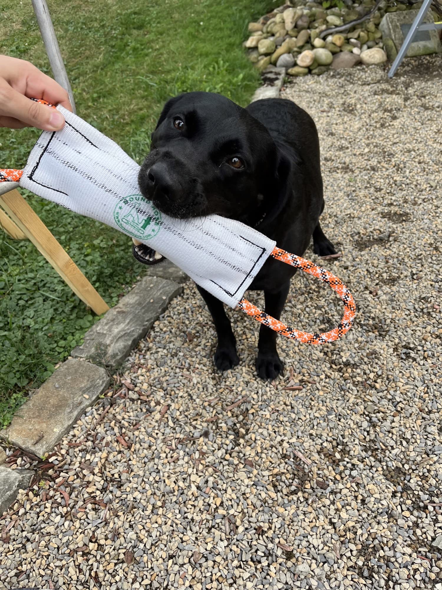 Rock-N-Rescue Hound Hose, tuyau d'incendie recyclé durable pour jeux en extérieur