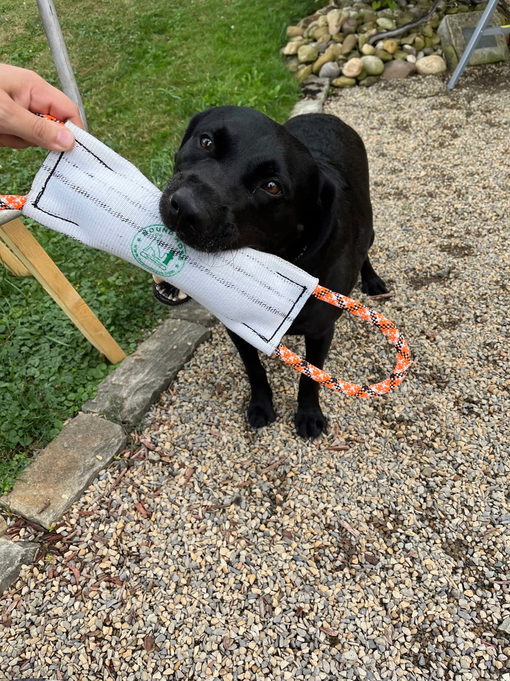 Rock-N-Rescue Hound Hose, tuyau d'incendie recyclé durable pour jeux en extérieur