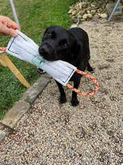 Rock-N-Rescue Hound Hose, tuyau d'incendie recyclé durable pour jeux en extérieur