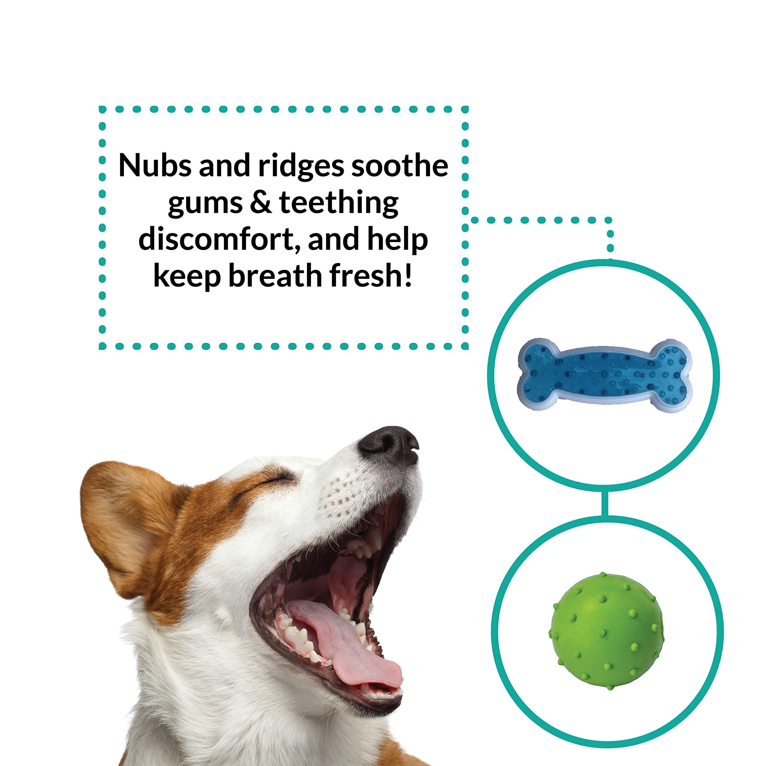 rocket & rex set jouets durables pour chiots actifs.