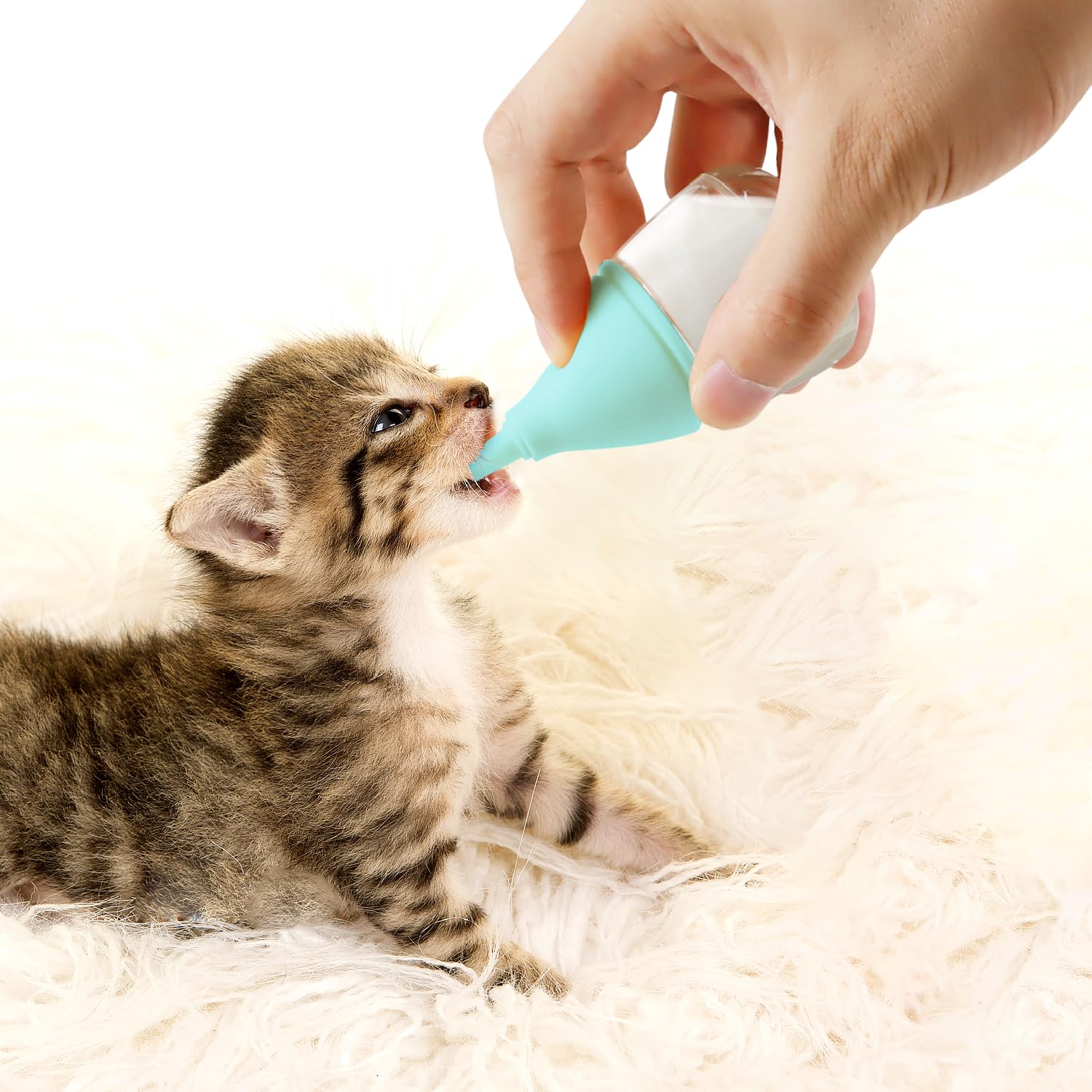 Rock Tech kit alimentation chaton chiot pratique à domicile et en clinique