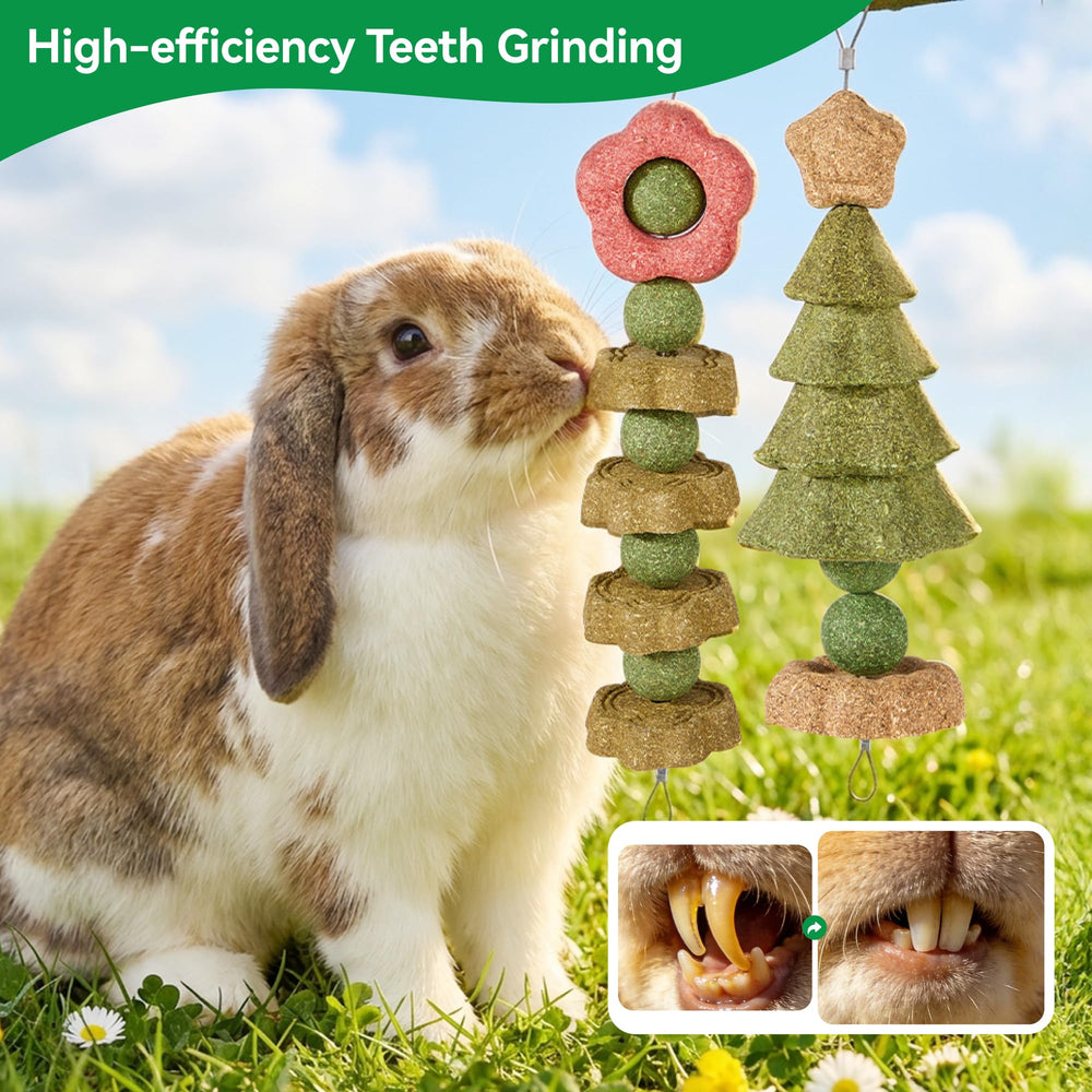 Rodizoo-jouets-naturels-pour-rongeurs, divertissement sain et stimulation naturelle.