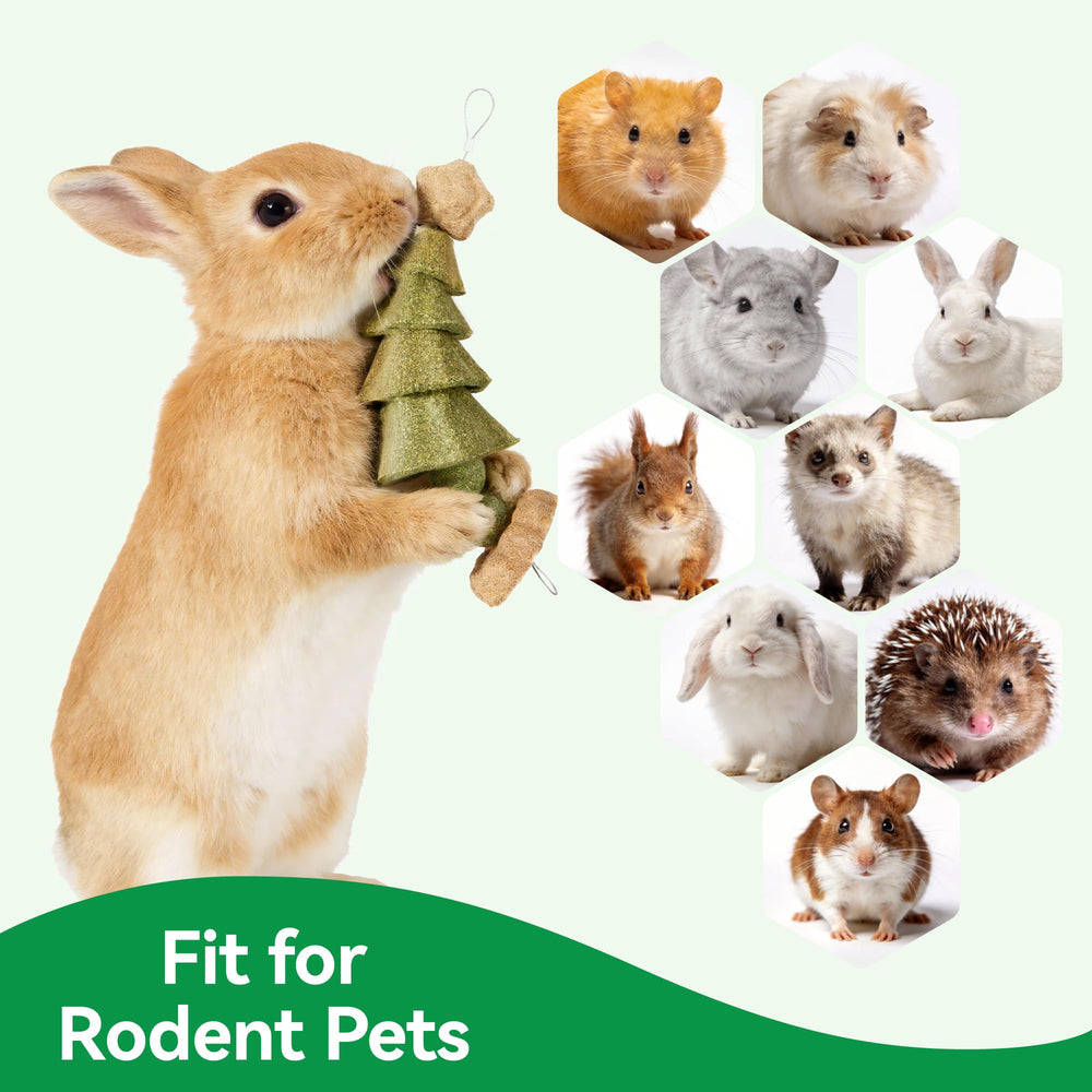 Rodizoo-prevention-croissance-dents, sessions de mastication prolongées.