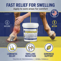 Application simple avec le Numotizine Poultice Rod's sur les zones ciblées du cheval