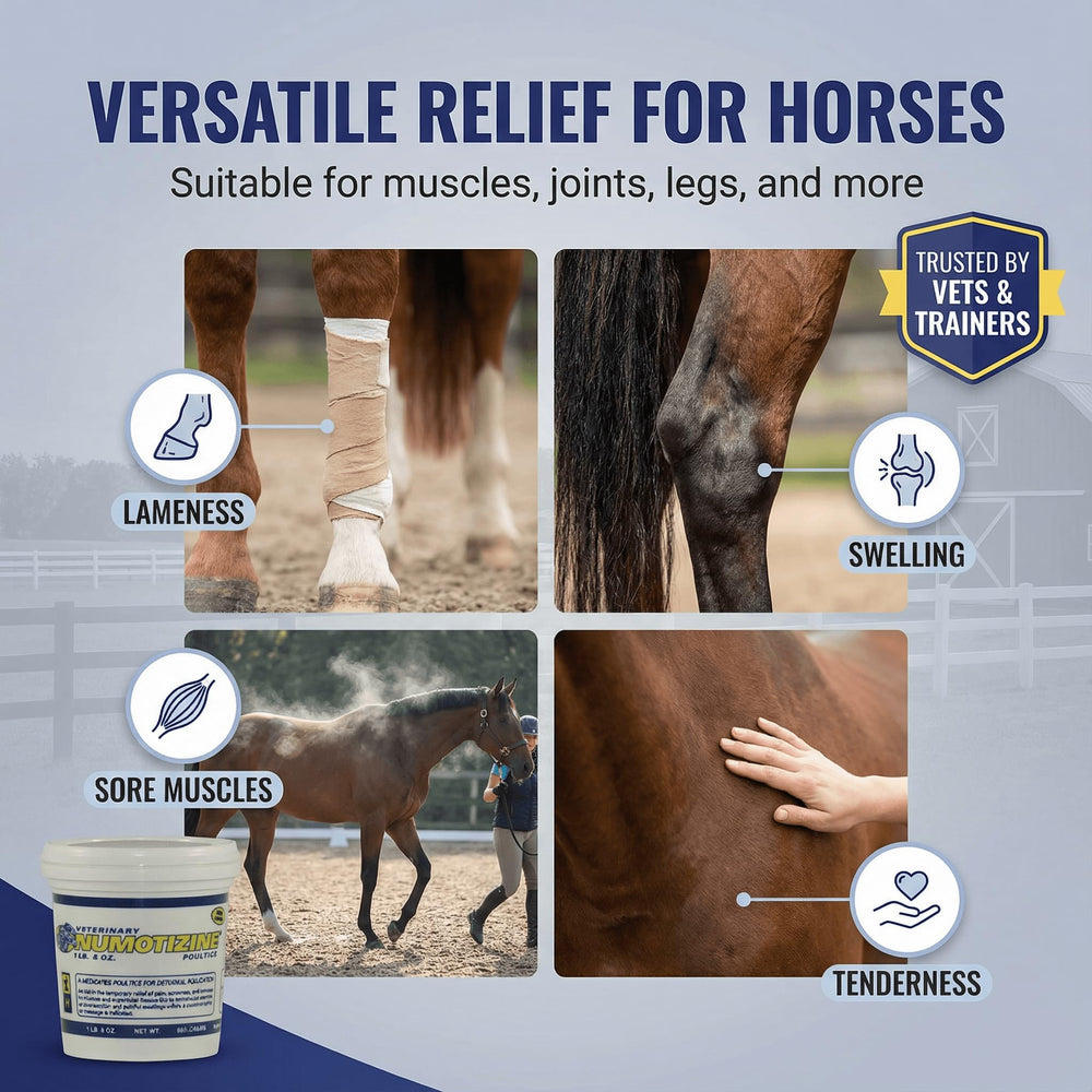 Texture riche du Numotizine Poultice Rod's facilitant l’application sur la peau du cheval