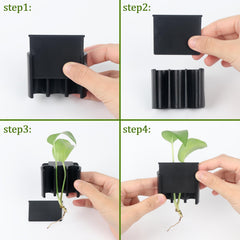 Roetelo: base noire pour organiser les plantes dans l’aquarium.