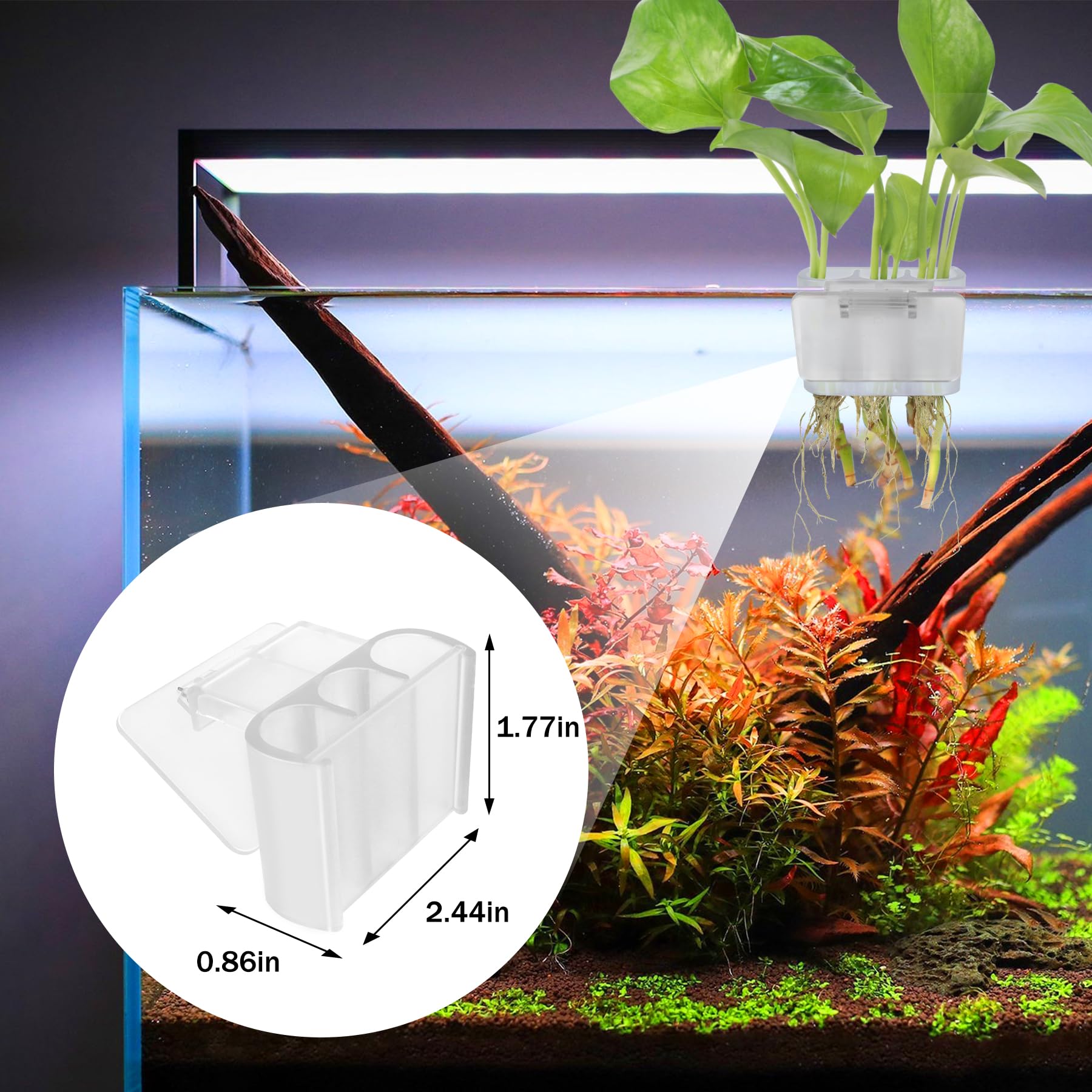 Roetelo: porte-plante décoratif pour aquascape et ambiance naturelle.