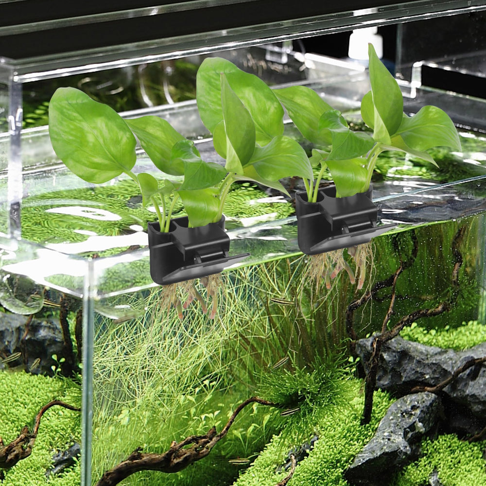 Roetelo: décor d’aquarium noir élégant avec supports robustes.