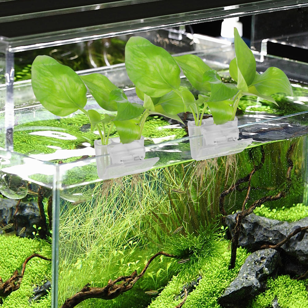 Roetelo: compatible avec pothos et daffodils grâce aux trois orifices.