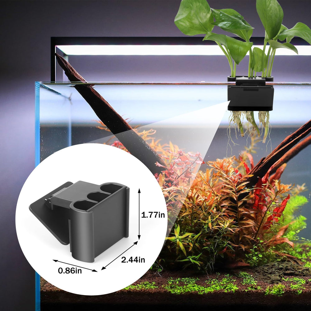 Roetelo: plateau noir pour plantes aquatiques et agencement harmonieux.