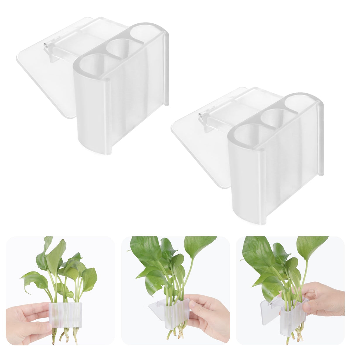 Roetelo: support-plante-aquatique-3-trous, fixation stable et esthétique.