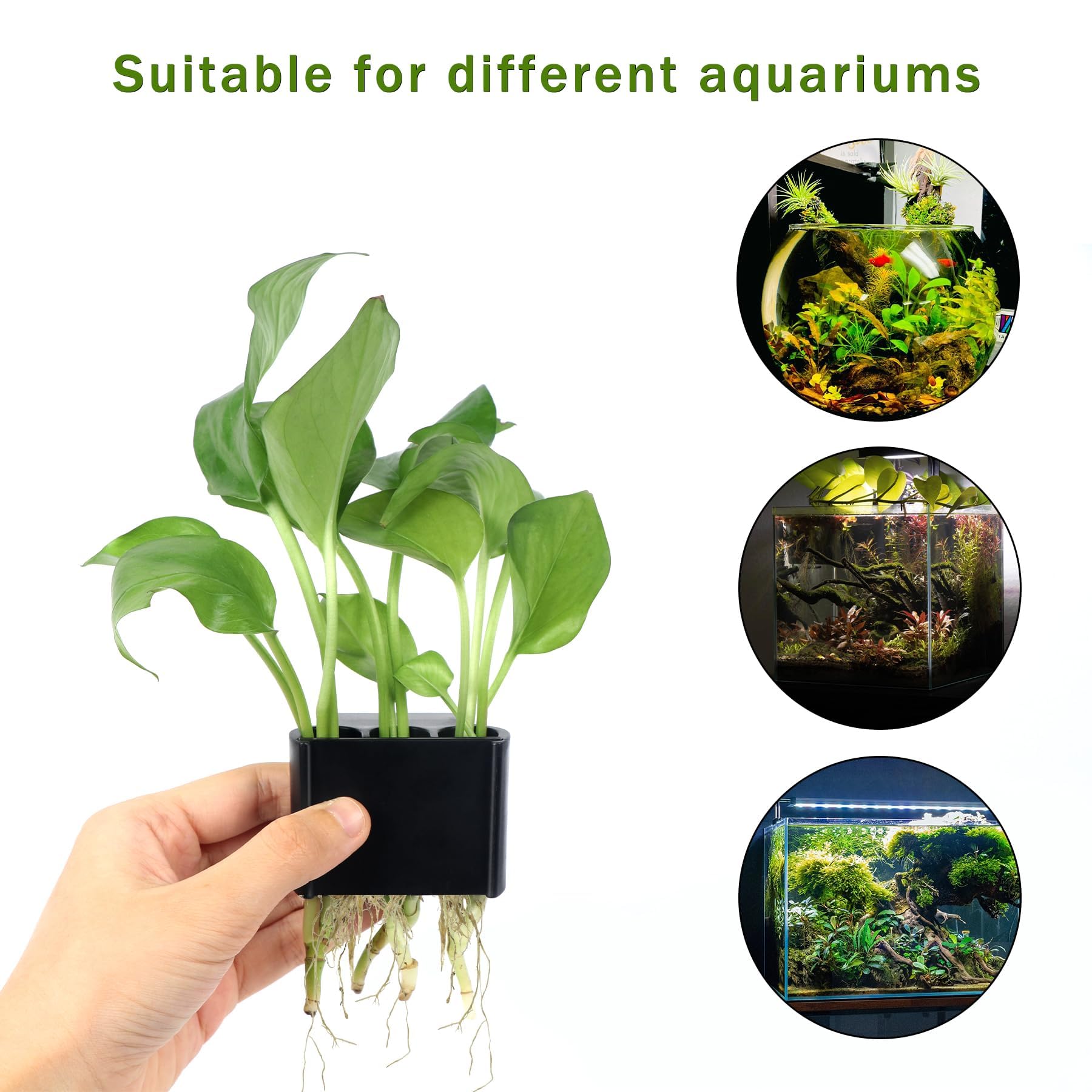 Support Roetelo multi-trous pour diverses plantes, flexibilité d’agencement.