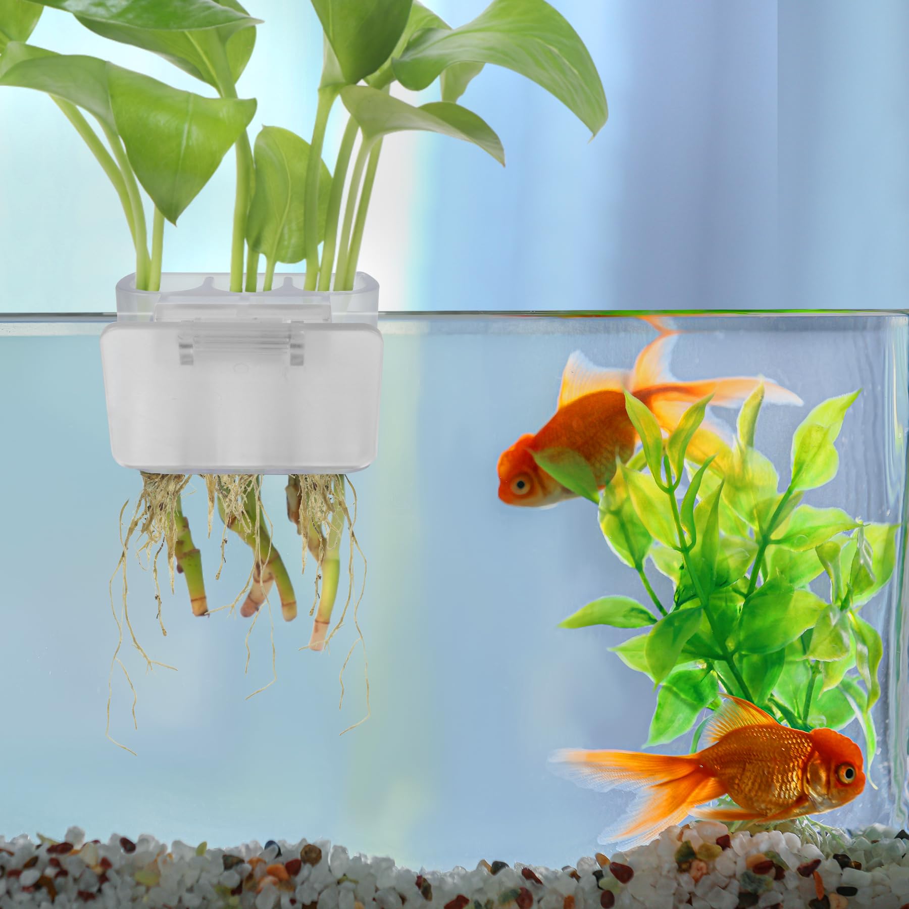 Roetelo: système de clamps, empêche le glissement des plantes.