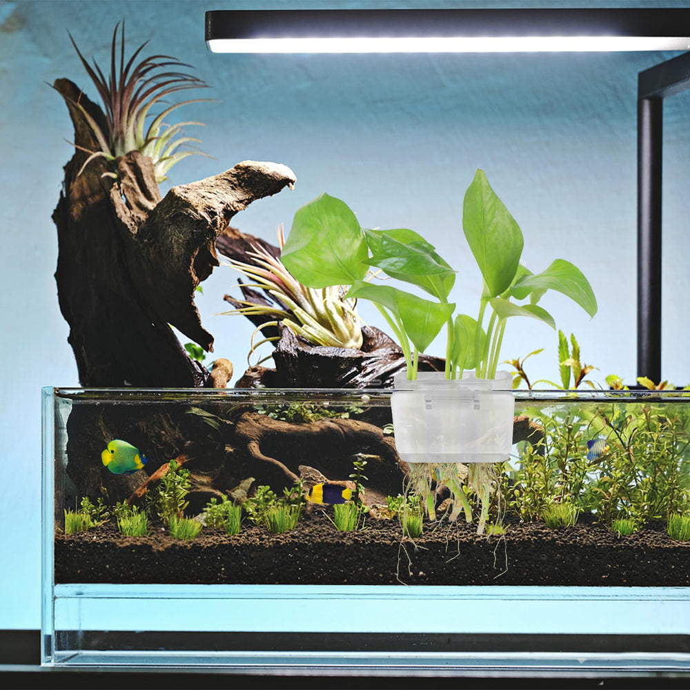 Roetelo: installation simple et cadeau pratique pour amateurs d’aquariums.