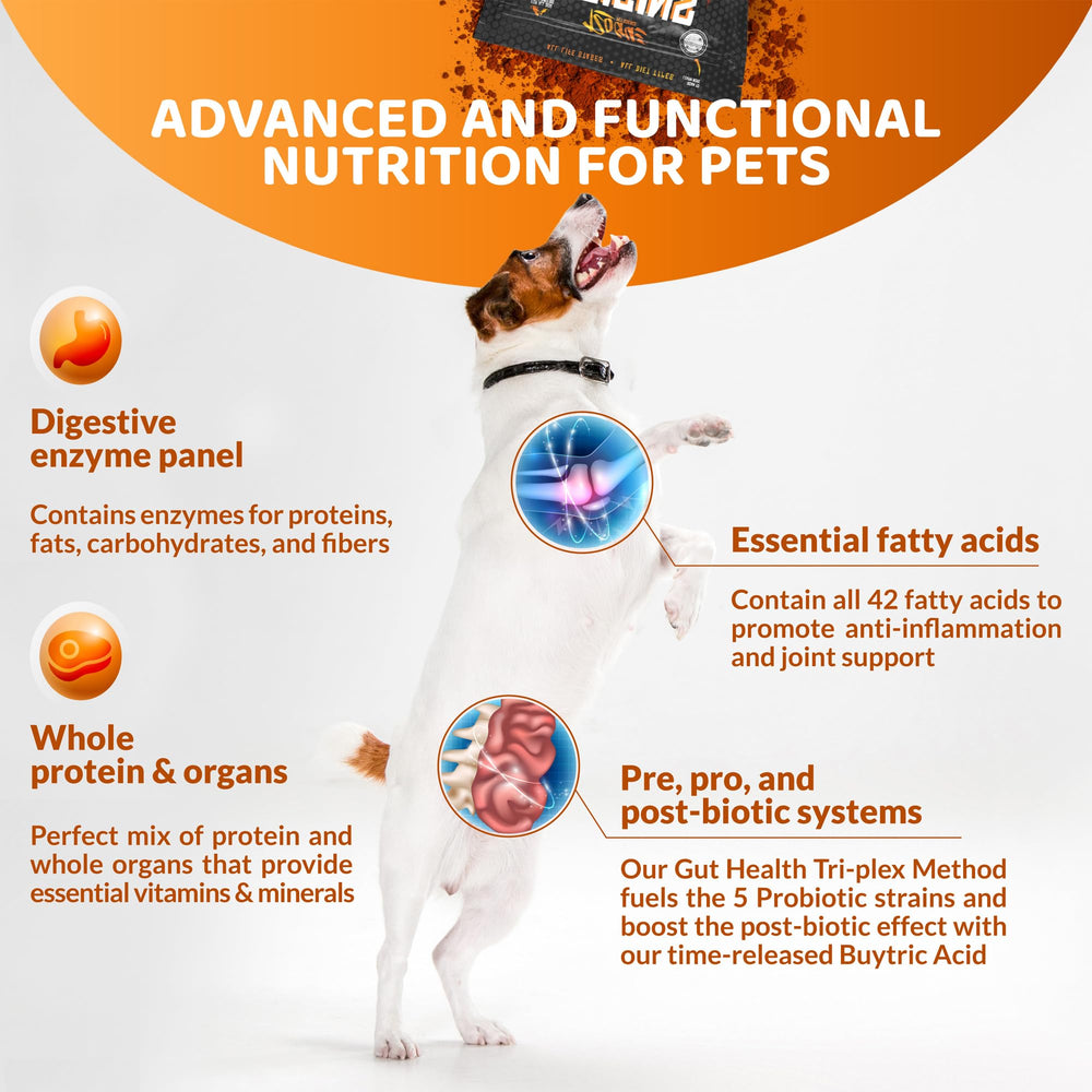 Rogue Pet Science Origins chien mangeant le topper, appétence et facilité d'utilisation.