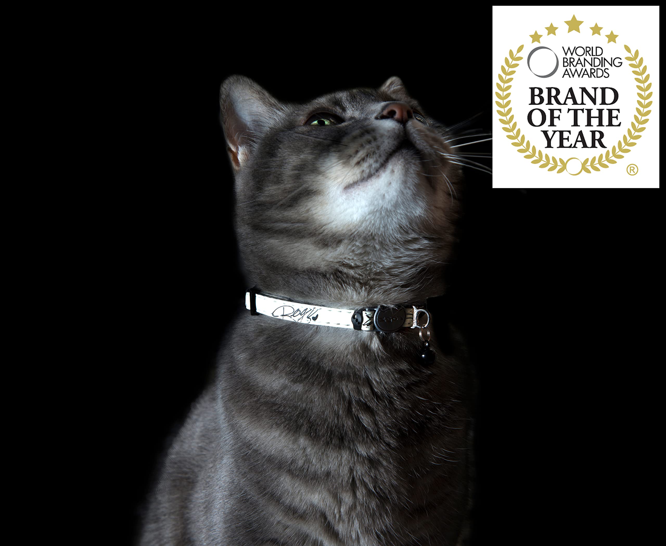 Collier Rogz durable et résistant idéal pour chats actifs en extérieur.