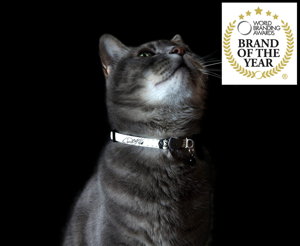 Collier Rogz durable et résistant idéal pour chats actifs en extérieur.