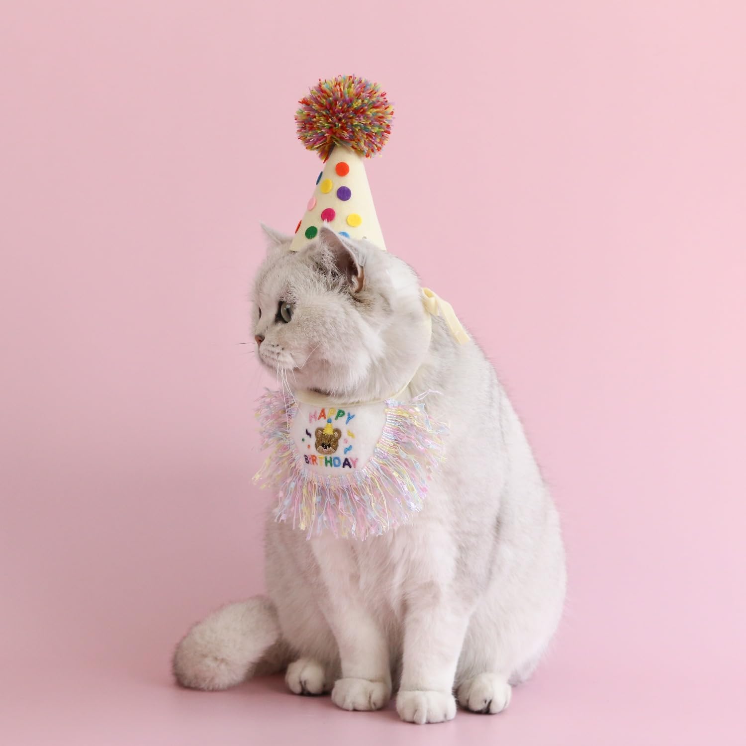 ROHOME deco-anniversaire-chat-photos, prêt pour des souvenirs mémorables.
