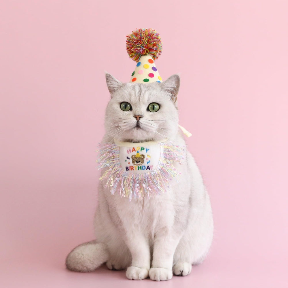 ROHOME ensemble-anniversaire-chat-complete, kit prêt à prendre la scène.
