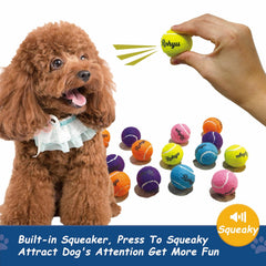 Balle Rohyu mini tennis avec sifflet intégré pour stimuler le jeu.