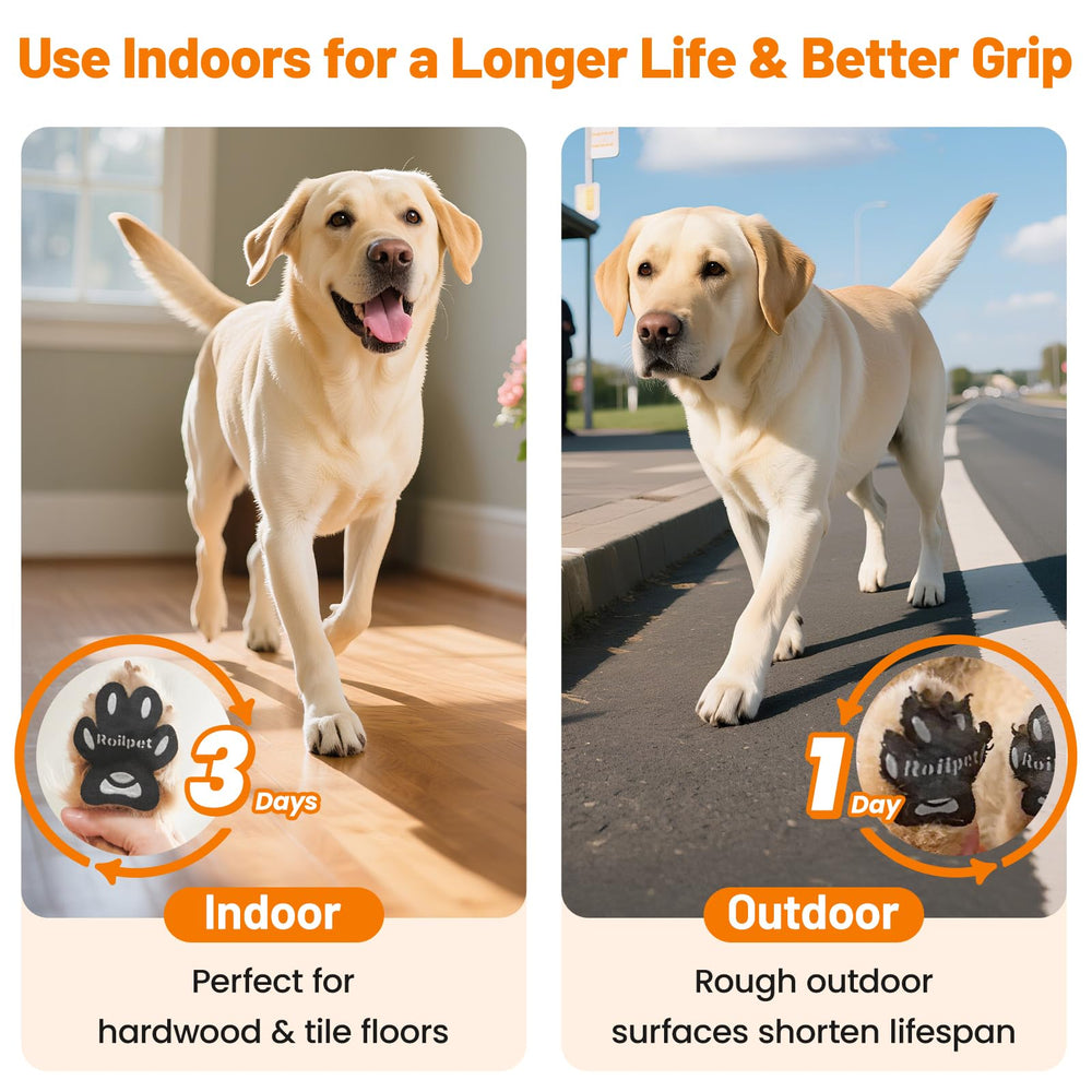 Roilpet application-facile-pattes-chien se pose rapidement.