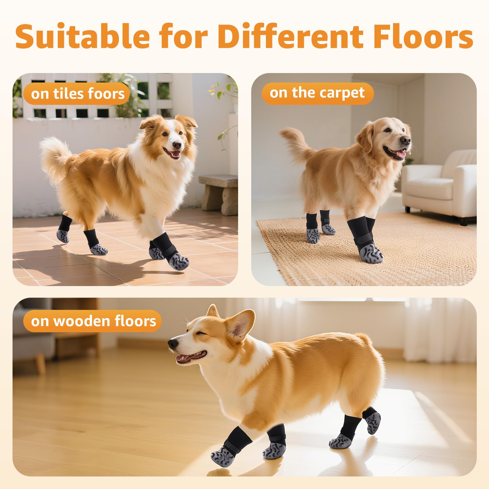 Chien senior utilisant Roilpet pour plus de stabilité.