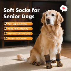 Chaussettes Roilpet adaptées pour chiens seniors, confort et mobilité.