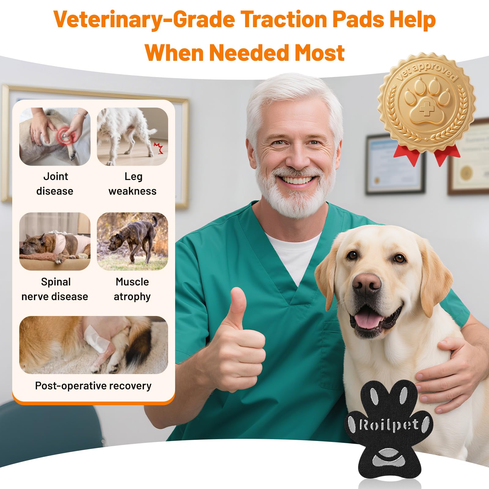 Roilpet pattes traction élevée prévient les glissades sur sols lisses.