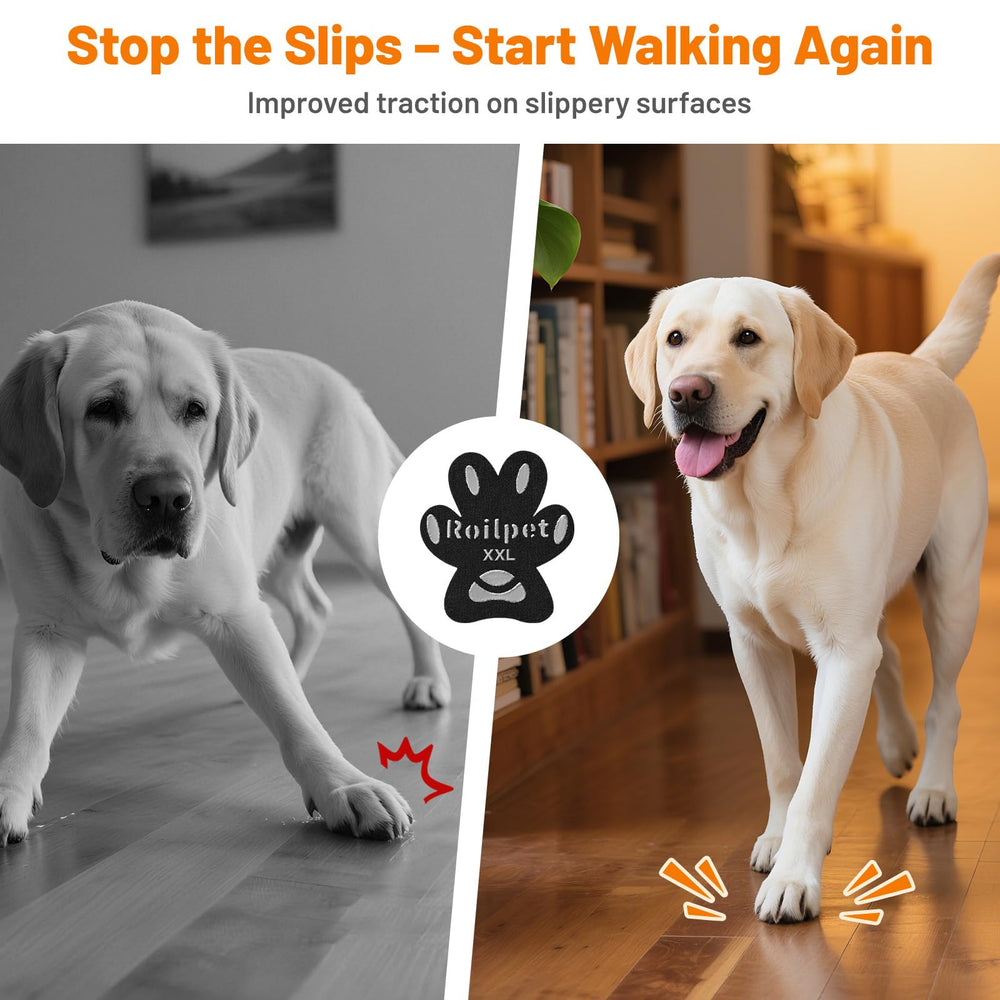 Roilpet protections-pattes-senior-chien soutiennent les chiens âgés lors des déplacements.