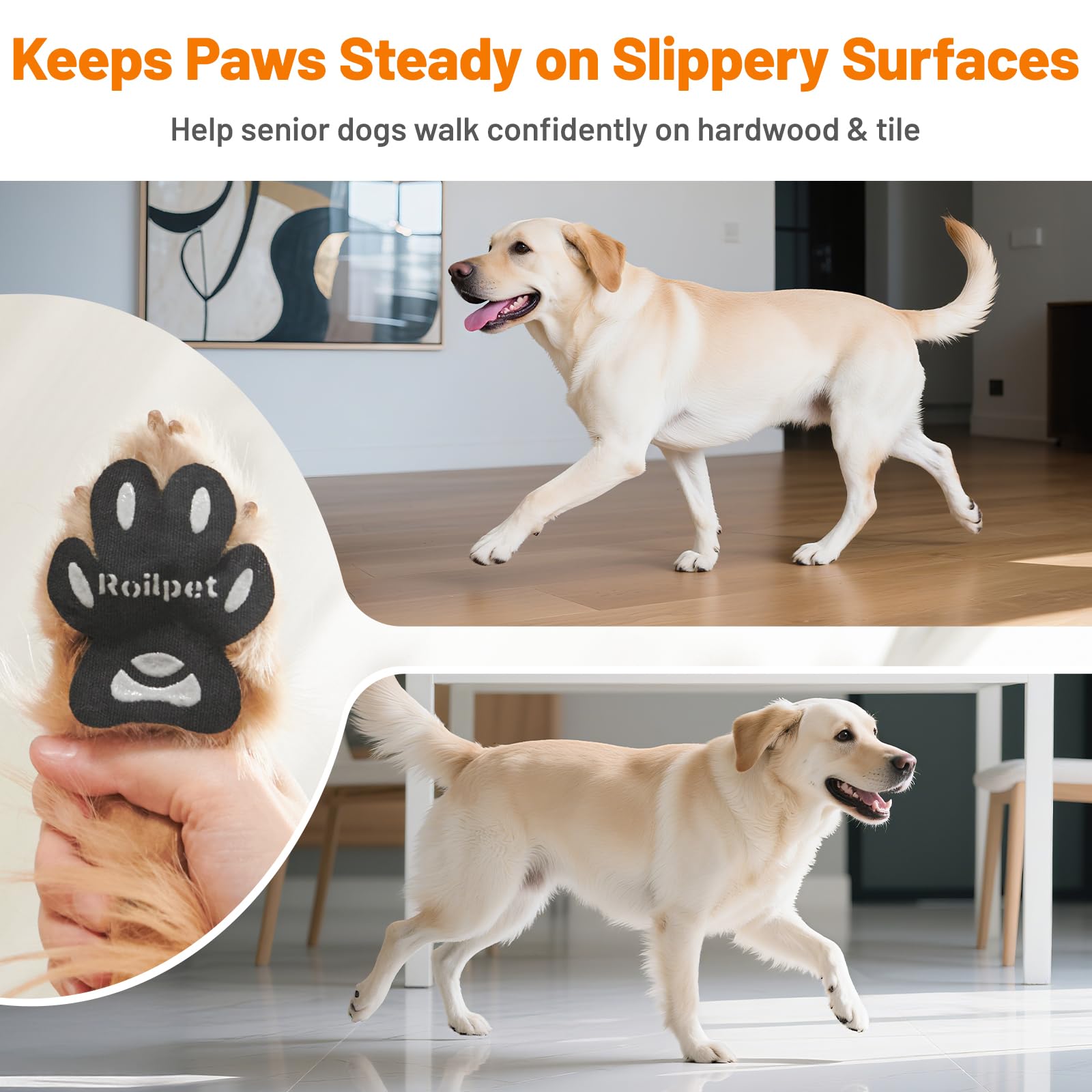 Roilpet protections pattes soutien mobilité après blessure ou chirurgie.