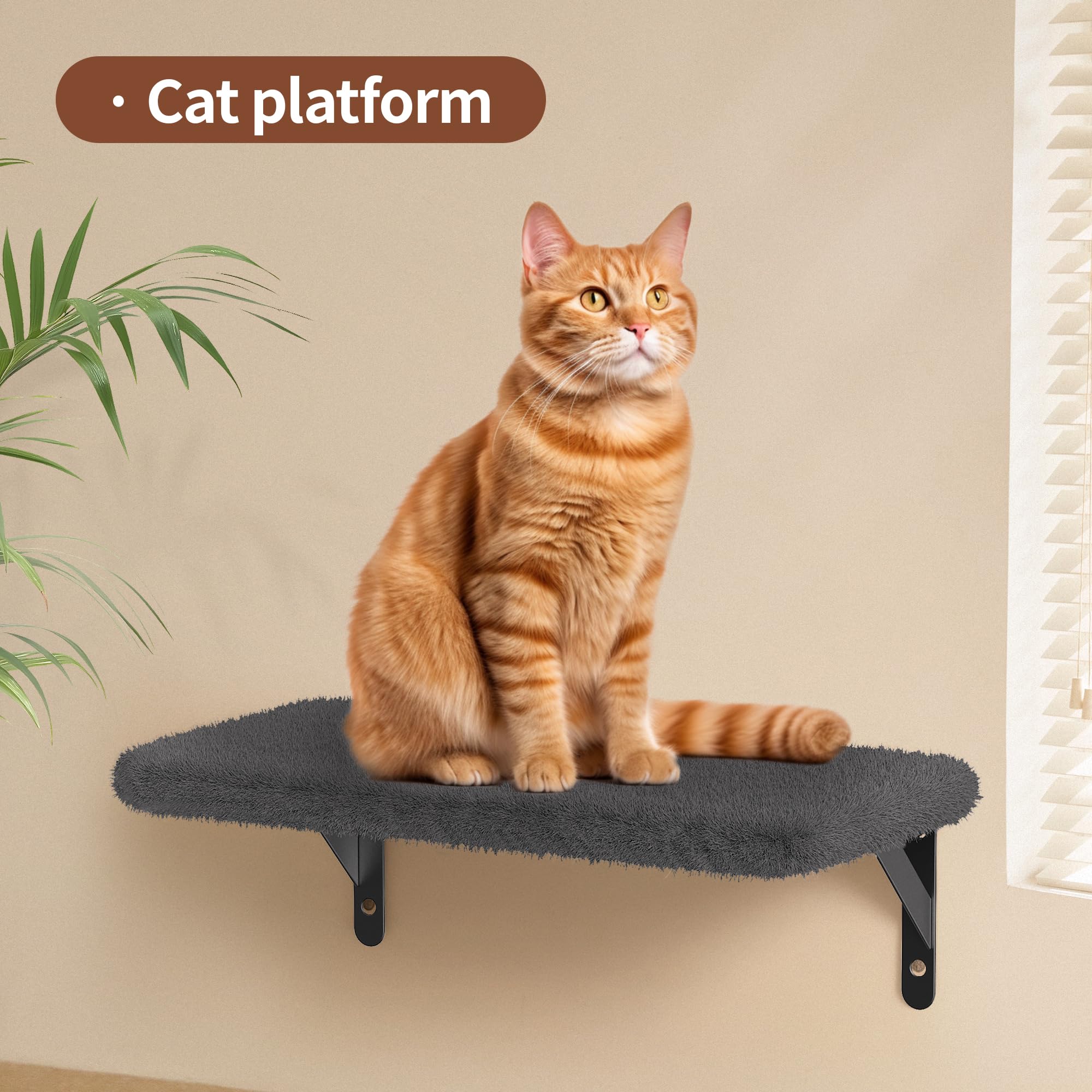 ROMSPRI condo-chat espace privé pour repos et observation
