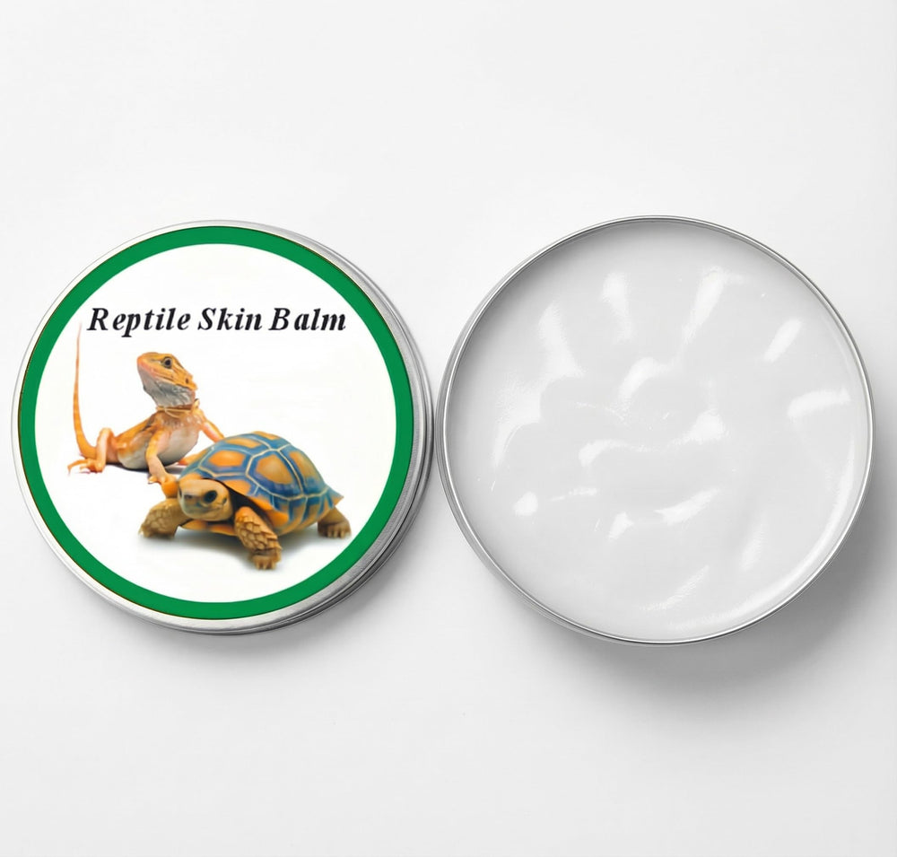 Rondure hydratation-quotidienne: routine simple pour reptiles.