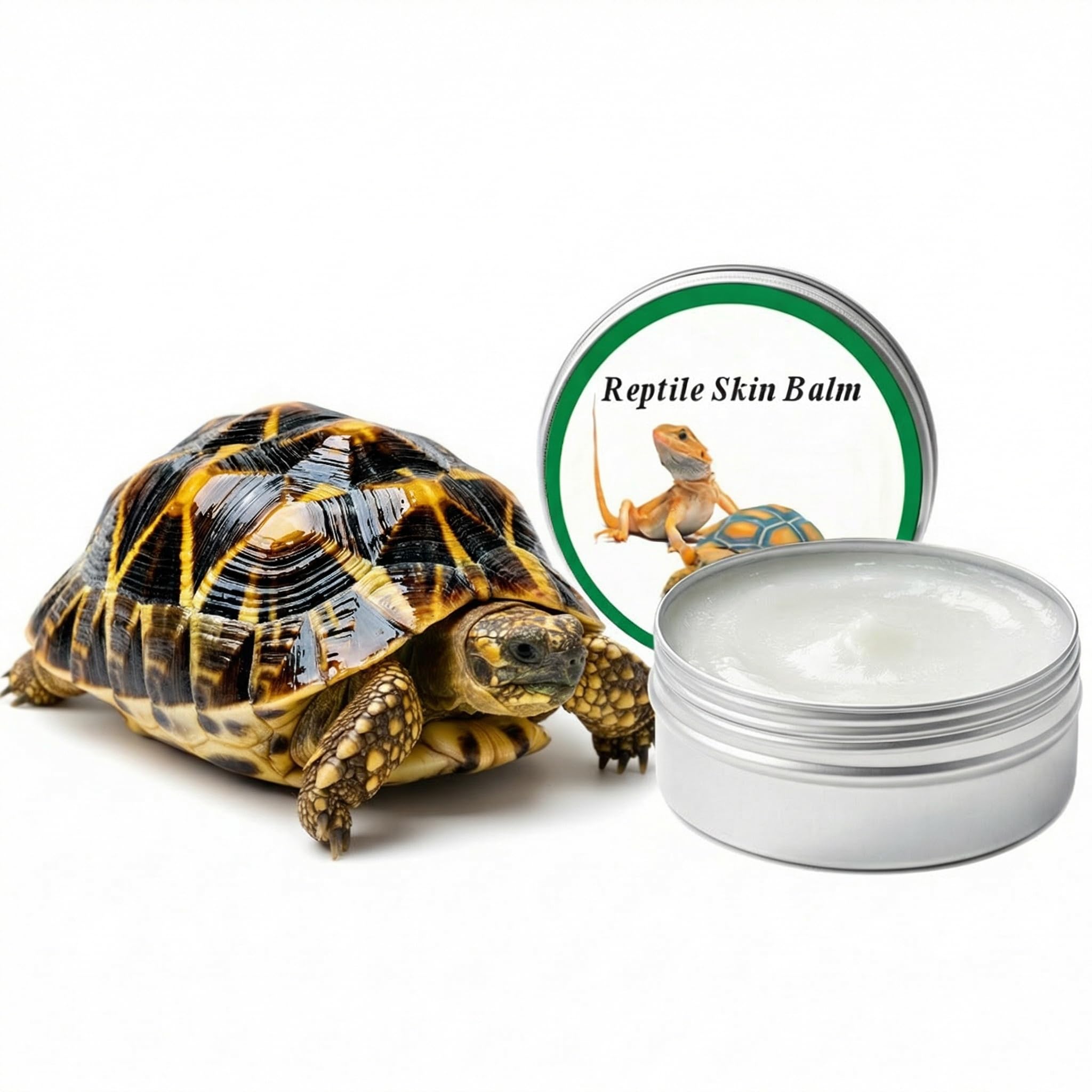 Rondure nettoyage-carapace-tortue: nettoyage doux avec protection légère.