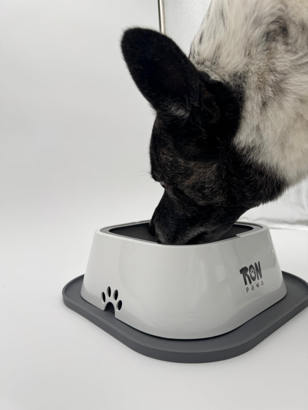Ron Paws adapté pour tous les chiens: tailles petites à grandes.