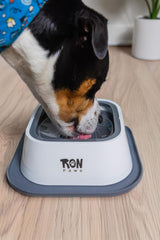 Ron Paws tapis silicone anti-glissade maintient le bol en place et protège le sol.
