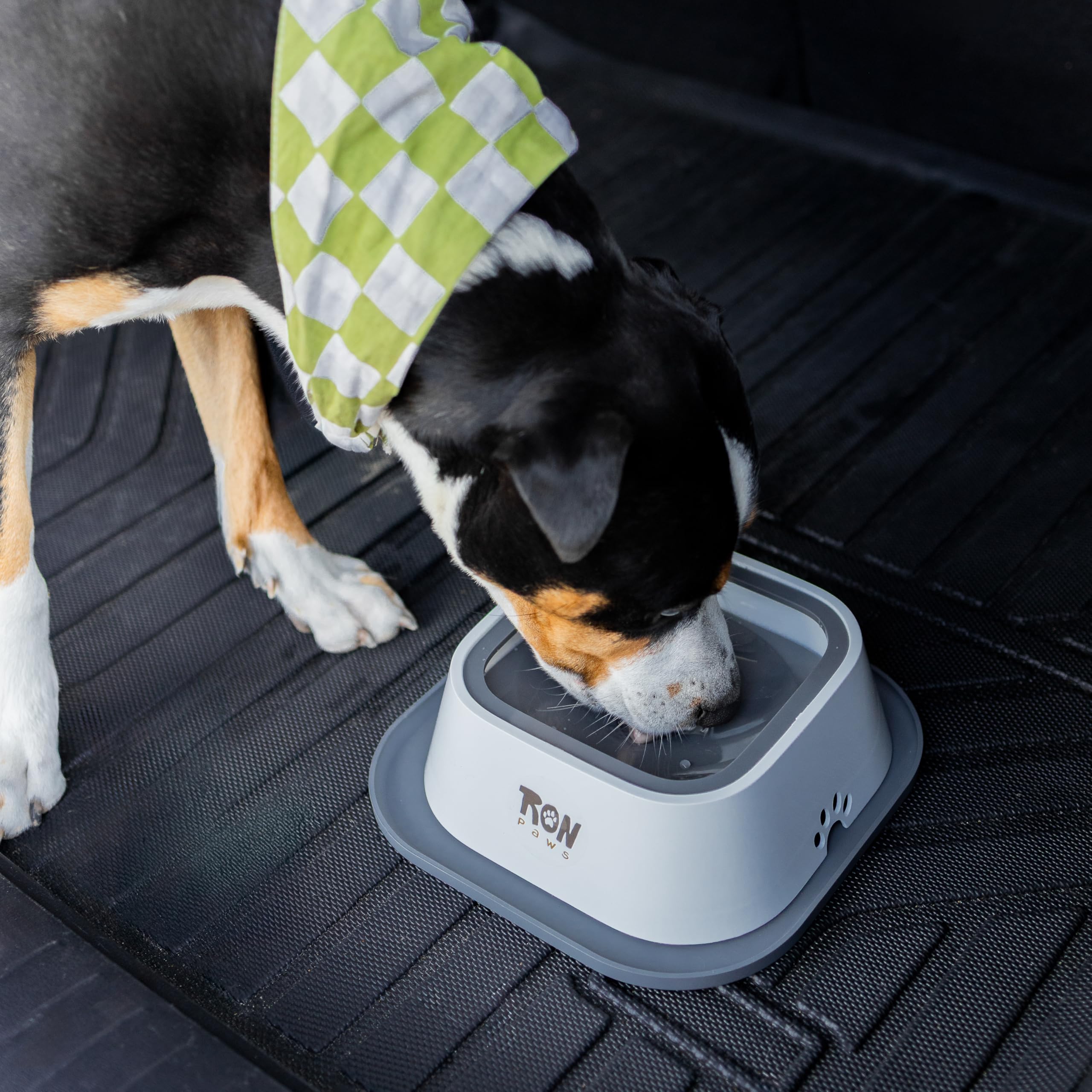 Ron Paws utilisation maison voiture voyage: bol stable partout.