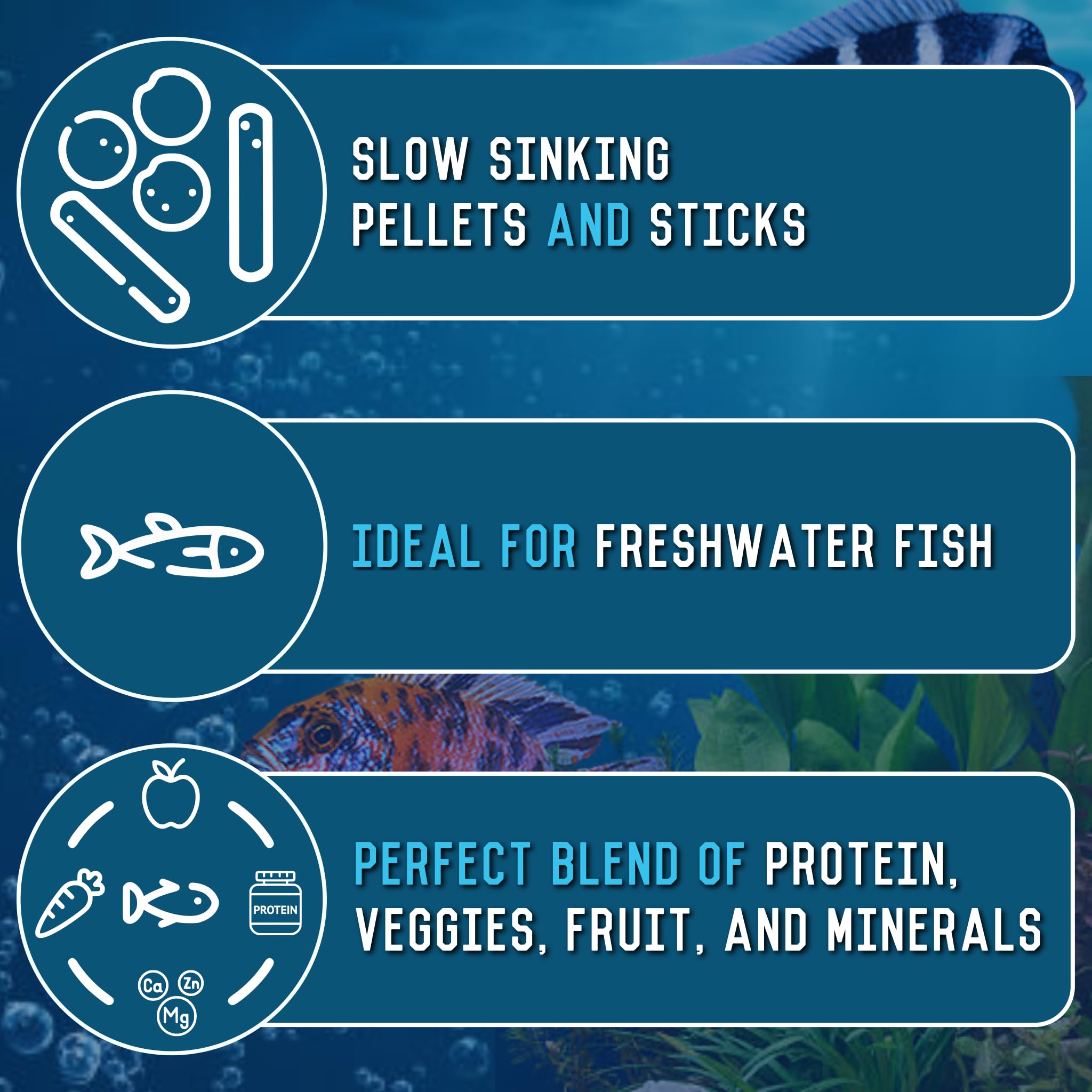 RON'S CICHLIDS convivialité aquatique – facilité d'alimentation et entretien du réservoir
